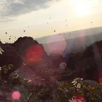 Hu Of Cappadocia - Special Class Uçhisar