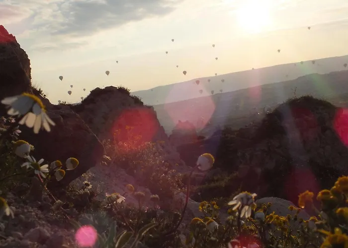 Hu Of Cappadocia - Special Class Учисар